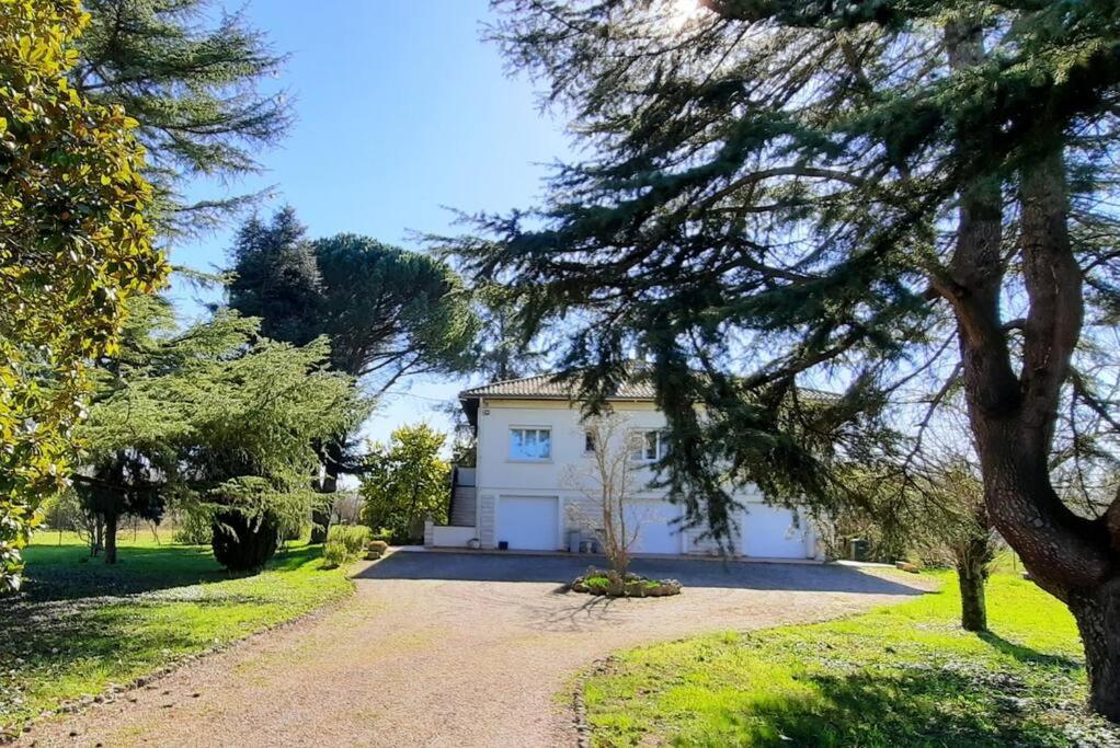 La Maison De Lili Colayrac-Saint-Cirq Buitenkant foto