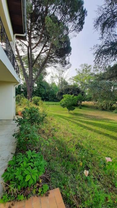 La Maison De Lili Colayrac-Saint-Cirq Buitenkant foto