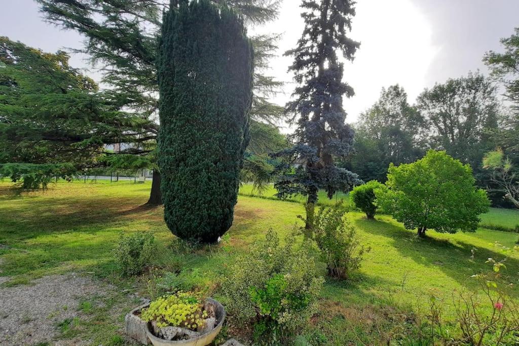 La Maison De Lili Colayrac-Saint-Cirq Buitenkant foto