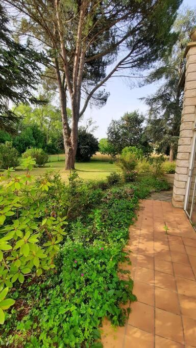 La Maison De Lili Colayrac-Saint-Cirq Buitenkant foto