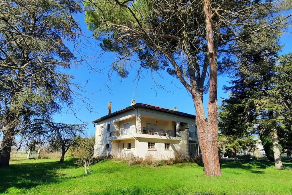 La Maison De Lili Colayrac-Saint-Cirq Buitenkant foto