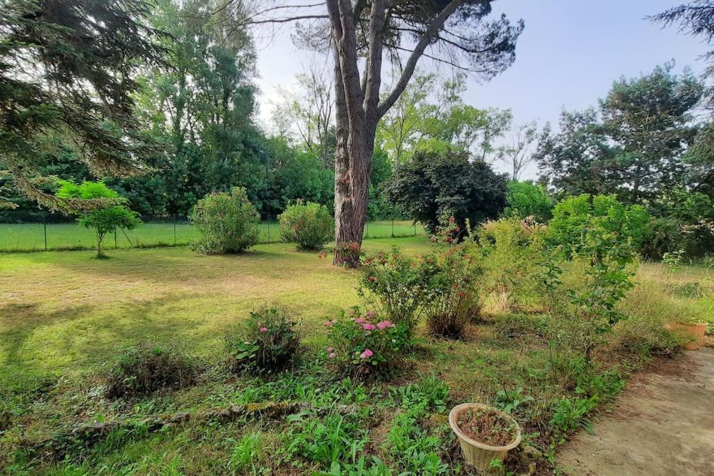 La Maison De Lili Colayrac-Saint-Cirq Buitenkant foto