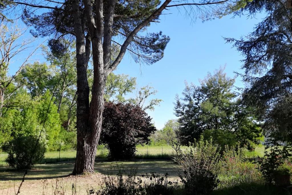 La Maison De Lili Colayrac-Saint-Cirq Buitenkant foto